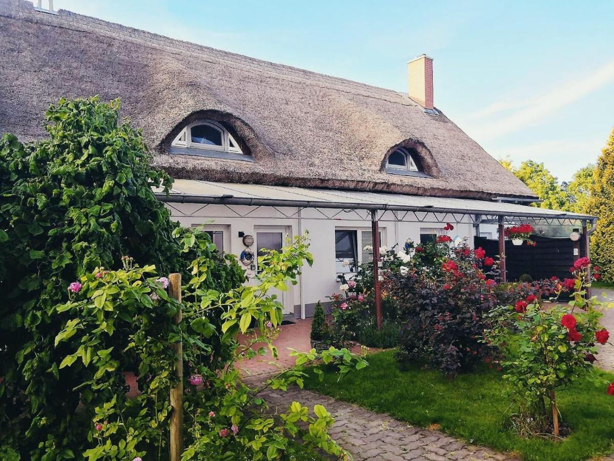 Reet Landhaus Ruegen Ummanz 外观 照片